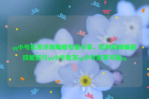 qq小号批发评测编程专家分享，如何利用编程技能进行qq小号批发qq小号批发可登qq