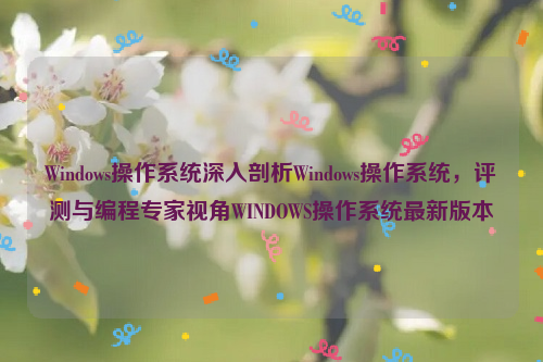 Windows操作系统深入剖析Windows操作系统，评测与编程专家视角WINDOWS操作系统最新版本