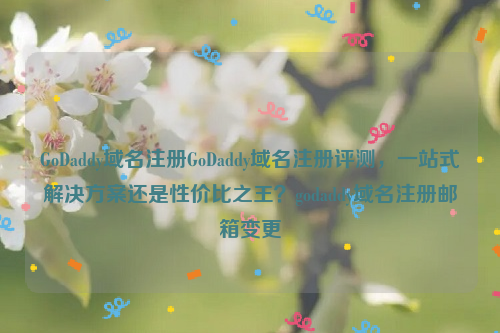 GoDaddy域名注册GoDaddy域名注册评测，一站式解决方案还是性价比之王？godaddy域名注册邮箱变更