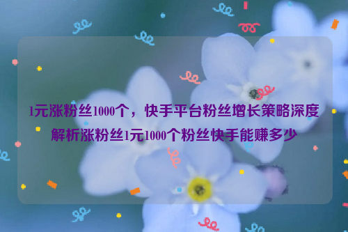 1元涨粉丝1000个，快手平台粉丝增长策略深度解析涨粉丝1元1000个粉丝快手能赚多少