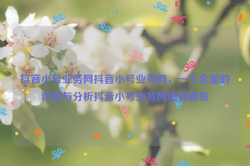 抖音小号业务网抖音小号业务网，一个全面的评测与分析抖音小号业务网站有哪些