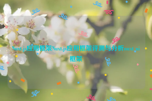 Nuxt.js应用框架Nuxt.js应用框架评测与分析nuxt ui框架