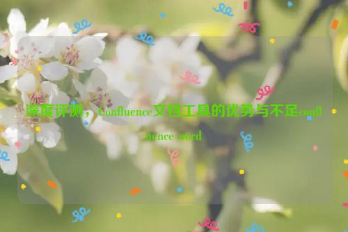 深度评测，Confluence文档工具的优势与不足confluence word