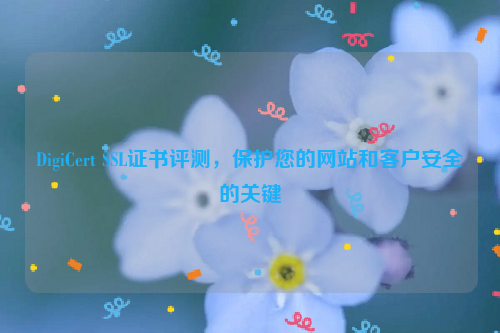 DigiCert SSL证书评测，保护您的网站和客户安全的关键