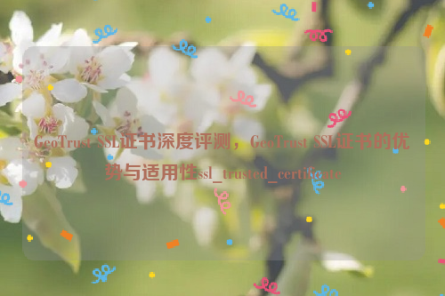 GeoTrust SSL证书深度评测，GeoTrust SSL证书的优势与适用性ssl_trusted_certificate