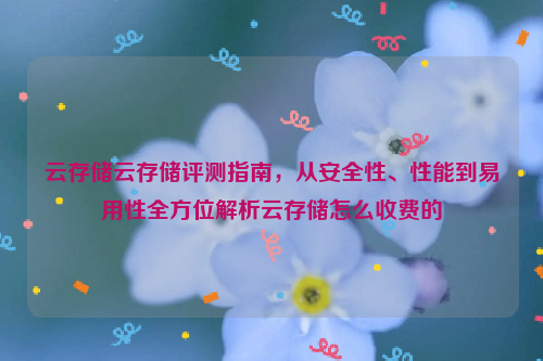 云存储云存储评测指南，从安全性、性能到易用性全方位解析云存储怎么收费的