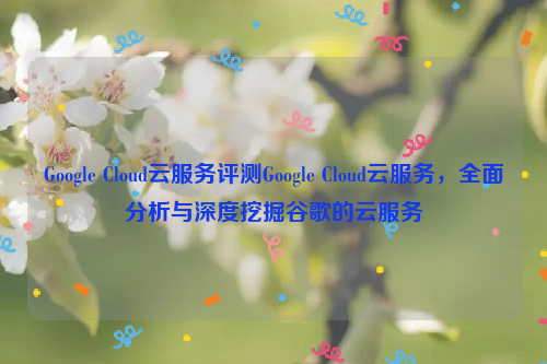 Google Cloud云服务评测Google Cloud云服务，全面分析与深度挖掘谷歌的云服务