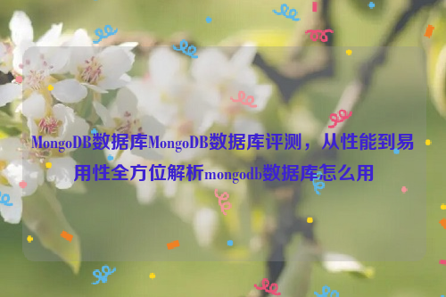 MongoDB数据库MongoDB数据库评测，从性能到易用性全方位解析mongodb数据库怎么用