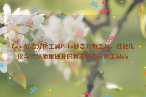 Psalm静态分析工具Psalm静态分析工具，性能优化与代码质量提升的利器静态分析工具ida