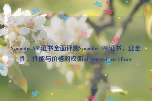 Symantec SSL证书全面评测Symantec SSL证书，安全性、性能与价格的权衡ssl_trusted_certificate