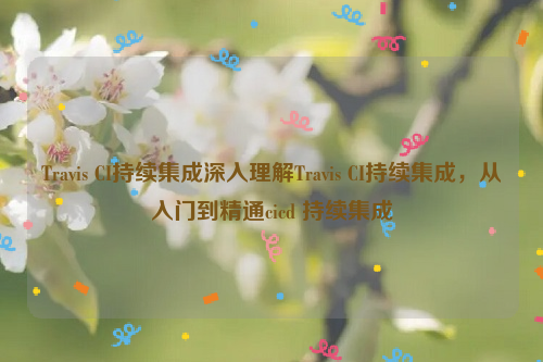 Travis CI持续集成深入理解Travis CI持续集成，从入门到精通cicd 持续集成