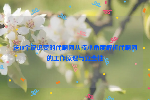 送10个说说赞的代刷网从技术角度解析代刷网的工作原理与安全性