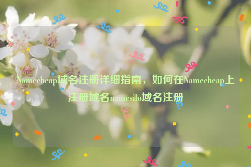 Namecheap域名注册详细指南，如何在Namecheap上注册域名namesilo域名注册