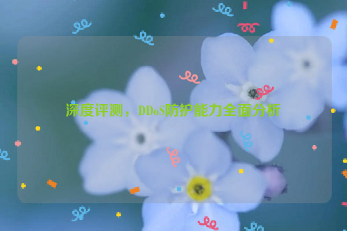 深度评测，DDoS防护能力全面分析