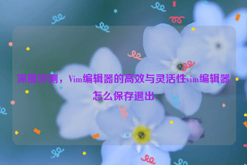 深度评测，Vim编辑器的高效与灵活性vim编辑器怎么保存退出