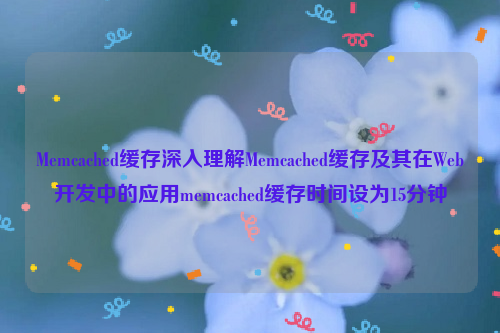 Memcached缓存深入理解Memcached缓存及其在Web开发中的应用memcached缓存时间设为15分钟