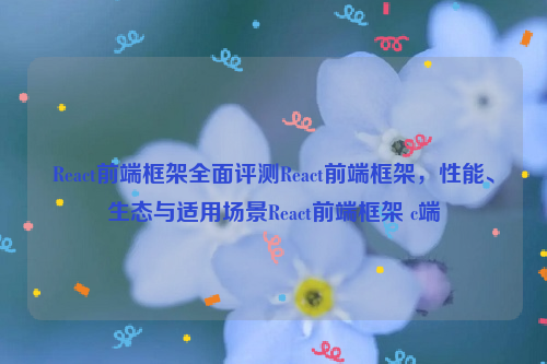 React前端框架全面评测React前端框架，性能、生态与适用场景React前端框架 c端