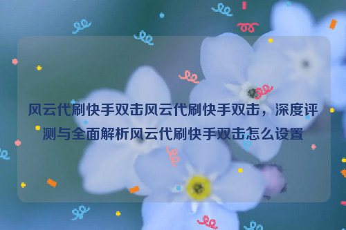 风云代刷快手双击风云代刷快手双击，深度评测与全面解析风云代刷快手双击怎么设置