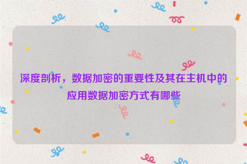 深度剖析，数据加密的重要性及其在主机中的应用数据加密方式有哪些