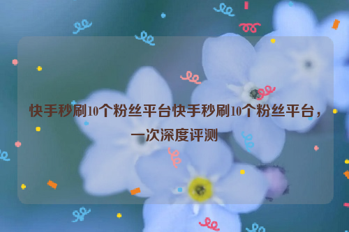 快手秒刷10个粉丝平台快手秒刷10个粉丝平台，一次深度评测