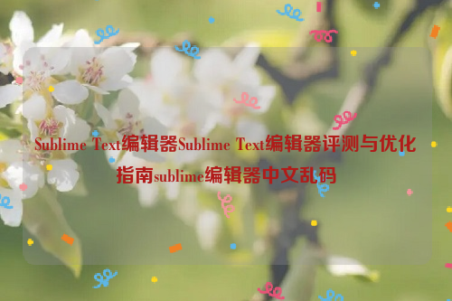 Sublime Text编辑器Sublime Text编辑器评测与优化指南sublime编辑器中文乱码