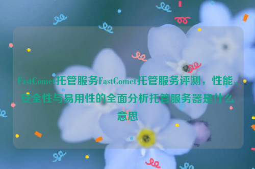 FastComet托管服务FastComet托管服务评测，性能、安全性与易用性的全面分析托管服务器是什么意思