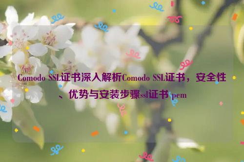 Comodo SSL证书深入解析Comodo SSL证书，安全性、优势与安装步骤ssl证书 pem