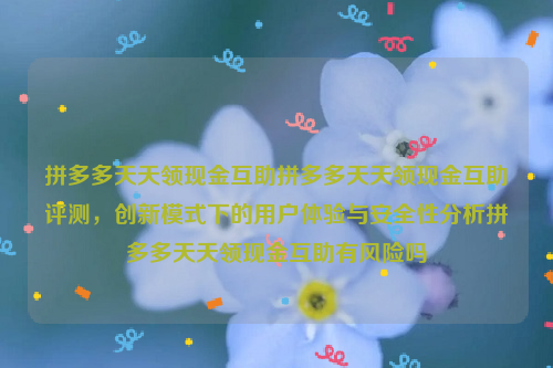 拼多多天天领现金互助拼多多天天领现金互助评测，创新模式下的用户体验与安全性分析拼多多天天领现金互助有风险吗