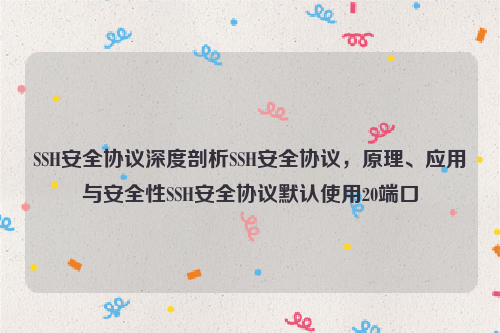 SSH安全协议深度剖析SSH安全协议，原理、应用与安全性SSH安全协议默认使用20端口