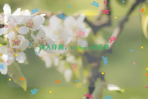 深入评测，VeriSign SSL证书