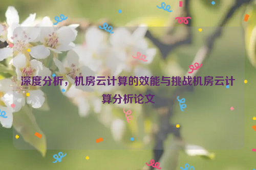 深度分析，机房云计算的效能与挑战机房云计算分析论文