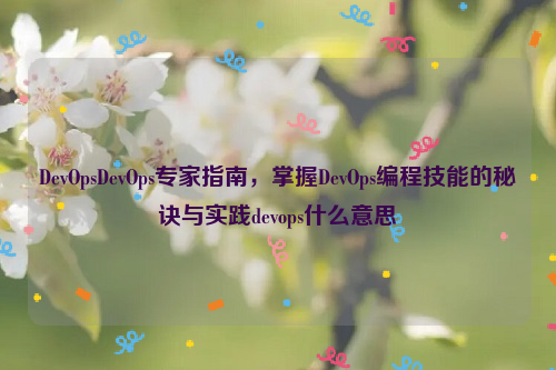 DevOpsDevOps专家指南，掌握DevOps编程技能的秘诀与实践devops什么意思