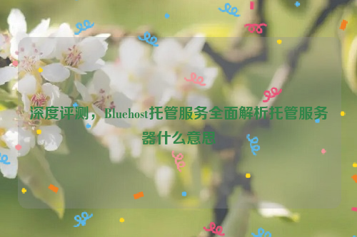 深度评测，Bluehost托管服务全面解析托管服务器什么意思