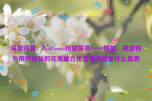 深度评测，FastComet托管服务——性能、稳定性与用户体验的完美结合托管服务器是什么意思