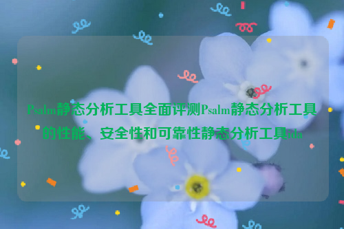 Psalm静态分析工具全面评测Psalm静态分析工具的性能、安全性和可靠性静态分析工具ida