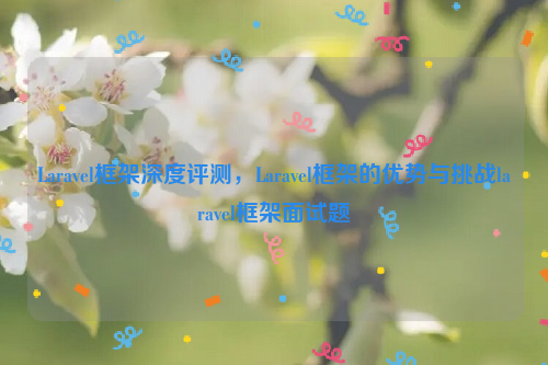 Laravel框架深度评测，Laravel框架的优势与挑战laravel框架面试题