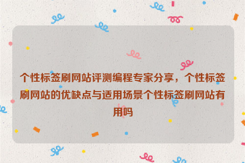 个性标签刷网站评测编程专家分享，个性标签刷网站的优缺点与适用场景个性标签刷网站有用吗