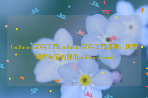 Confluence文档工具Confluence文档工具评测，优秀编程专家的视角confluence word