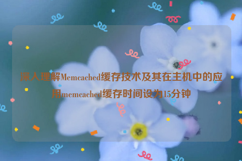 深入理解Memcached缓存技术及其在主机中的应用memcached缓存时间设为15分钟