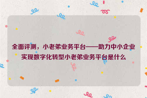 全面评测，小老弟业务平台——助力中小企业实现数字化转型小老弟业务平台是什么