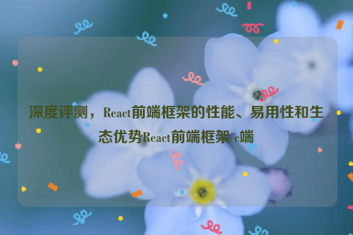 深度评测，React前端框架的性能、易用性和生态优势React前端框架 c端