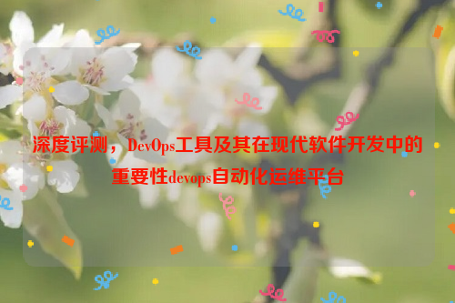 深度评测，DevOps工具及其在现代软件开发中的重要性devops自动化运维平台