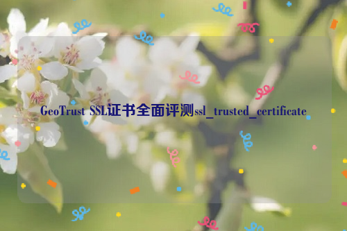 GeoTrust SSL证书全面评测ssl_trusted_certificate