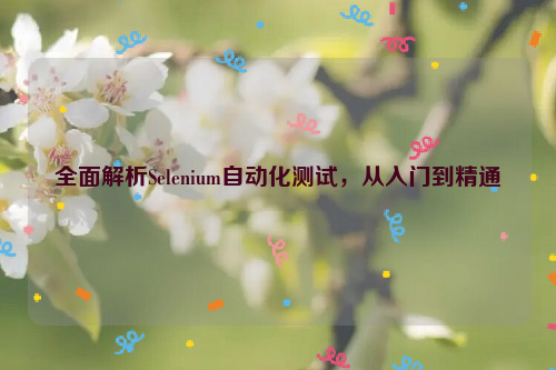 全面解析Selenium自动化测试，从入门到精通