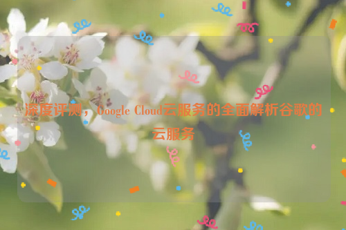 深度评测，Google Cloud云服务的全面解析谷歌的云服务