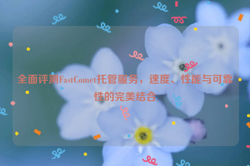 全面评测FastComet托管服务，速度、性能与可靠性的完美结合