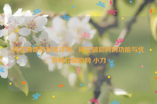 梅花辅助网深度评测，梅花辅助网的功能与优势梅花辅助网 小刀