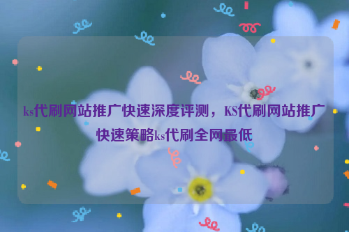 ks代刷网站推广快速深度评测，KS代刷网站推广快速策略ks代刷全网最低