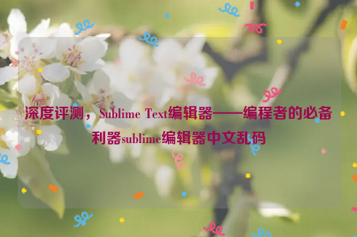 深度评测，Sublime Text编辑器——编程者的必备利器sublime编辑器中文乱码